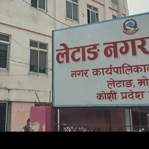लेटाङ नगरपालिकाद्वारा सांसद न्यौपानेको अभिव्यक्तिको खण्डन