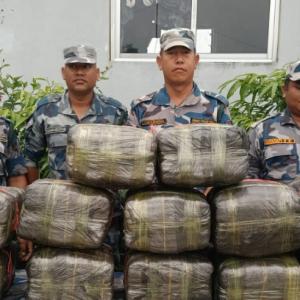 सुनसरीको बर्जुबाट १६० केजी गाँजा बरामद, ओसारपसारमा संलग्न व्यक्ति फरार