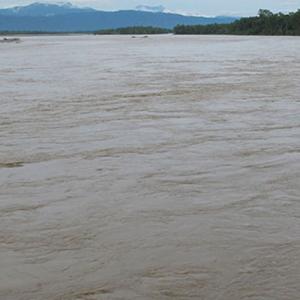 जलसतह खतराको तहभन्दा ३ मिटर माथि, नारायणीको तटीय क्षेत्र जोखिममा